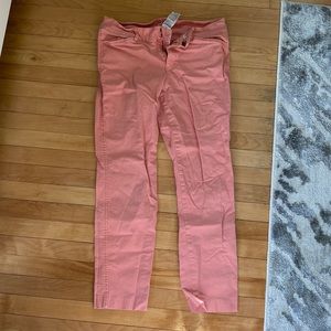 Salmon Pixie Chino Pants